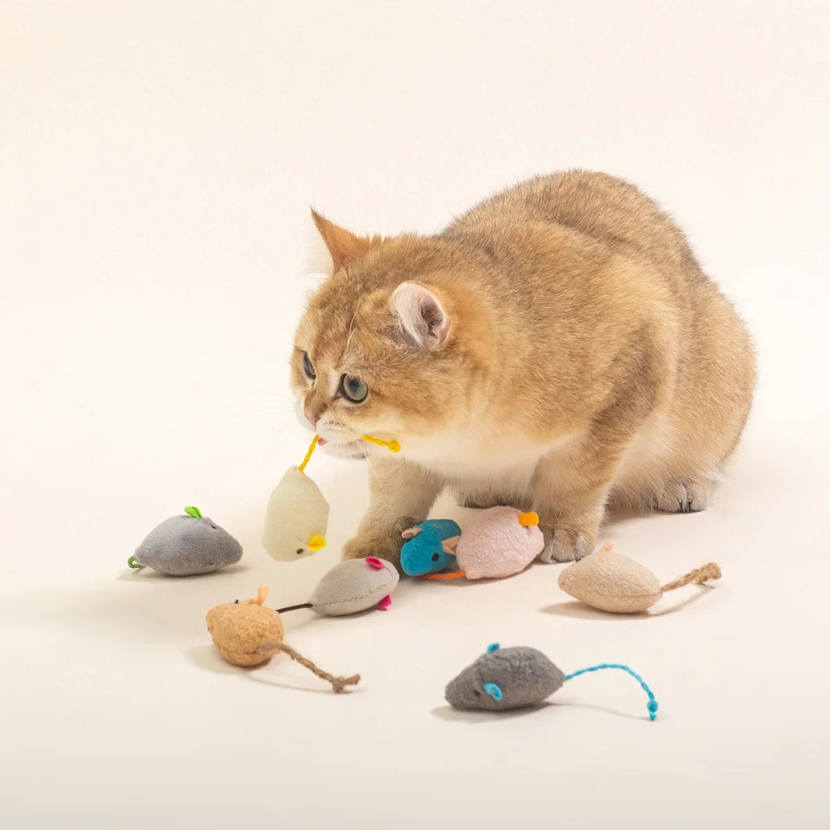 Fun Plush Mouse Cat Toy For Kitten