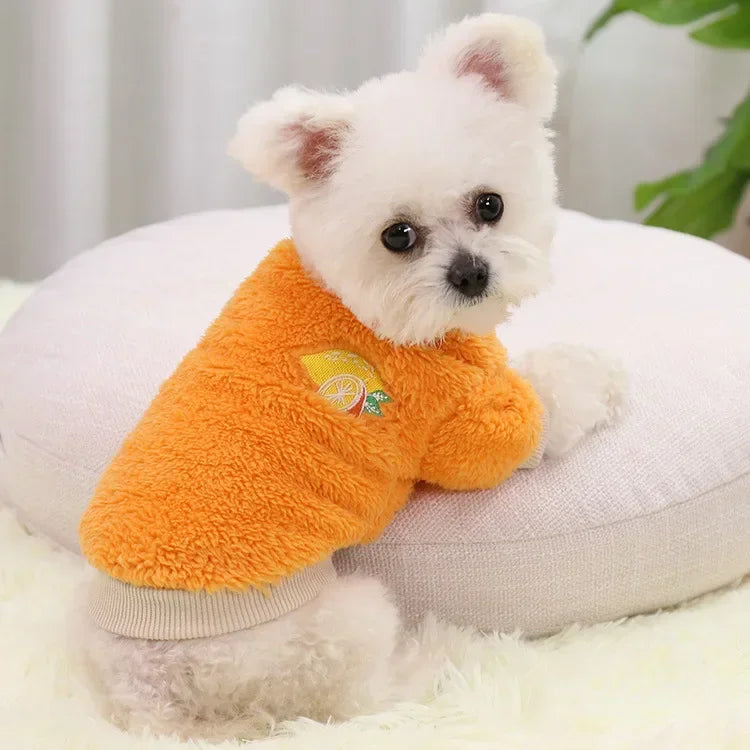 Pet Dog Clothes For Small Dogs