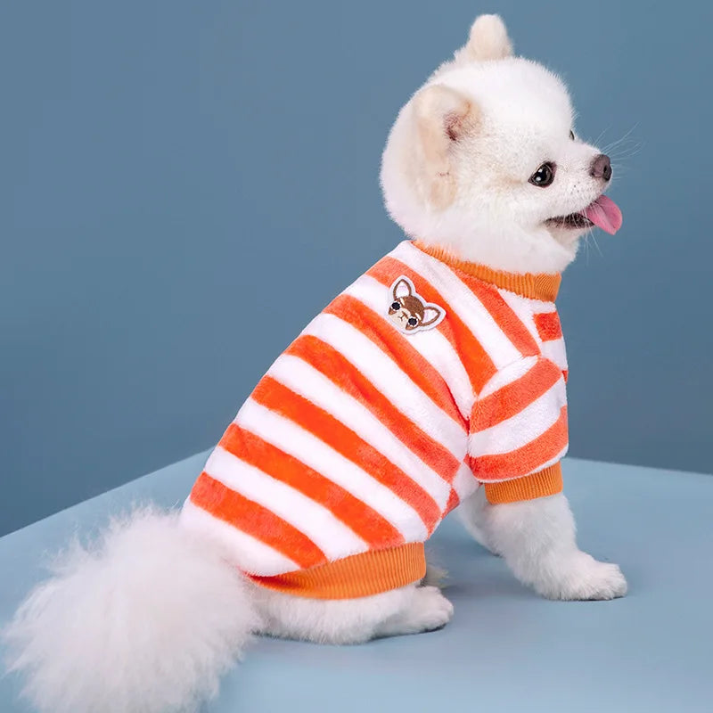 Warm Dog Clothes for Small Dogs