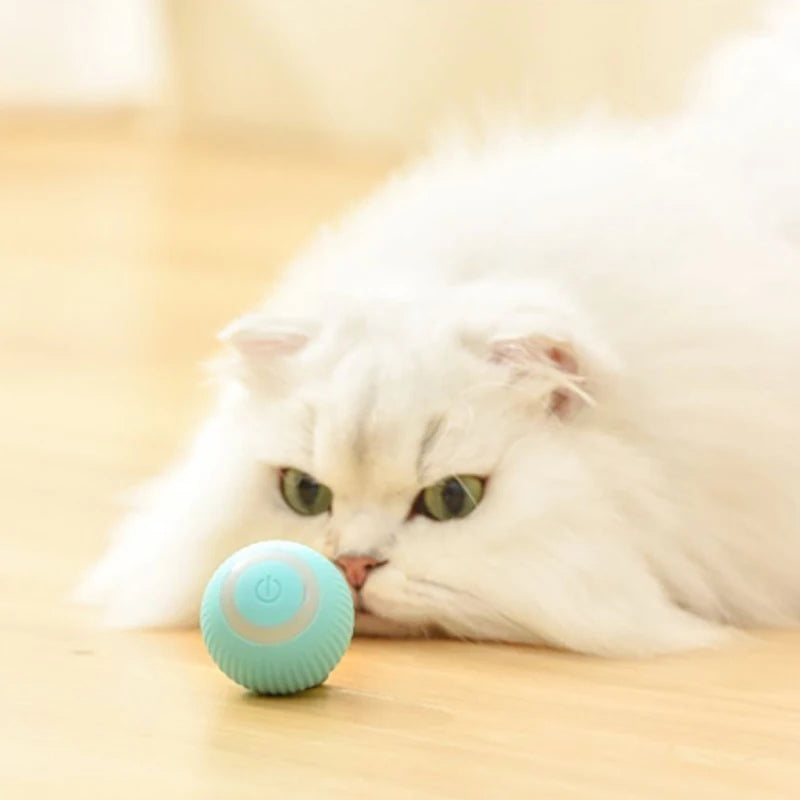 Automatic Moving Toy Interactive Ball