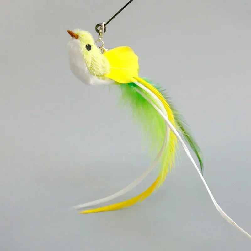Interactive Cat Toy Funny Simulation Bird Feather