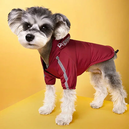 Pet Clothes Autumn Winter Pet Dog