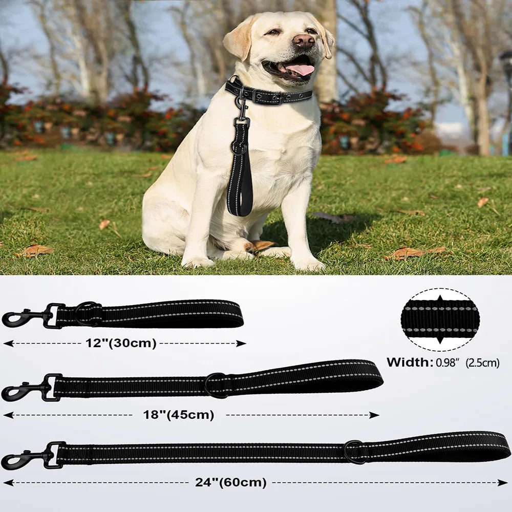 Explosion Proof Pet Short Leash