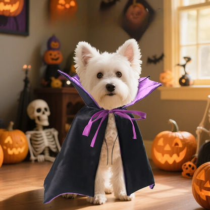 Funny Pet Dog Halloween Costume Dog Cat Costumes