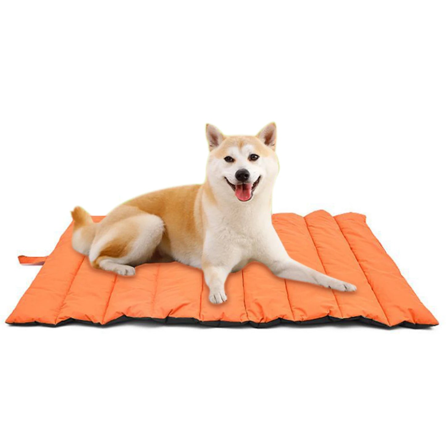 Portable Pet Mat Cat and Dog Mat