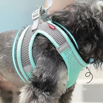 Adjustable Puppy Cat Harness