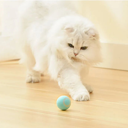 Automatic Moving Toy Interactive Ball