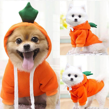 Cute Dog Hoodie Pet Fruit Clothes
