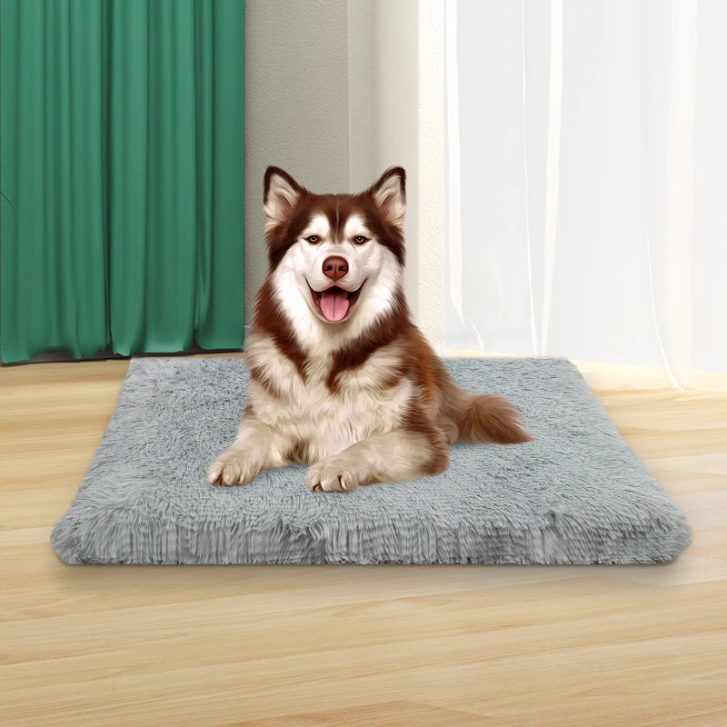 1 square soft cushion for orthopedic pet