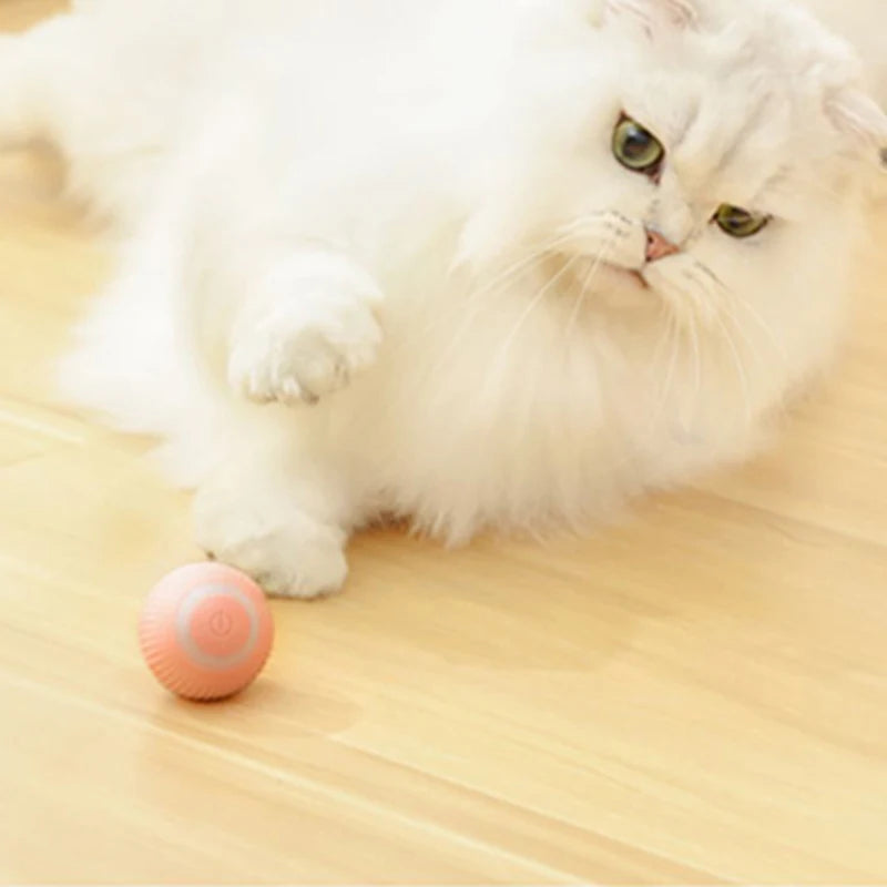 Automatic Moving Toy Interactive Ball