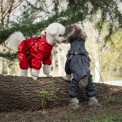 Dog Raincoat with Harness Waterproof
