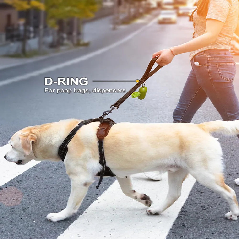 Explosion Proof Pet Short Leash