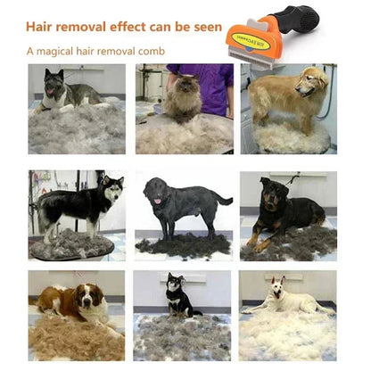 Cat Hair Removal Comb Cat Brush