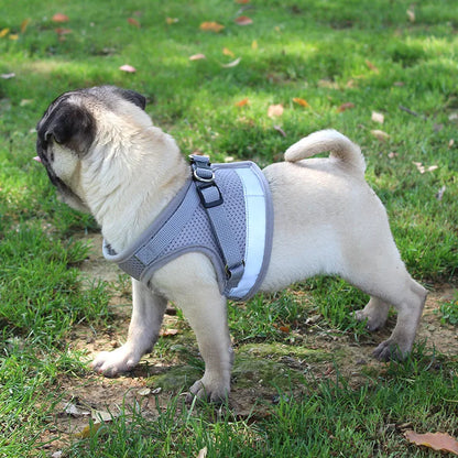 Reflective Cat Harness Breathable Cat Dog Harness