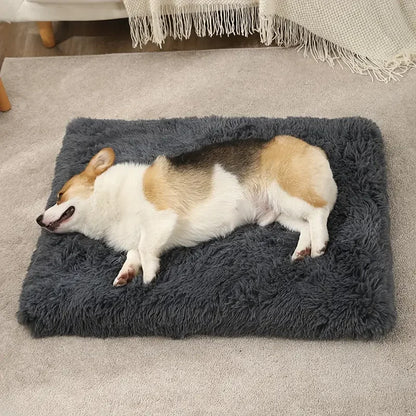1 square soft cushion for orthopedic pet
