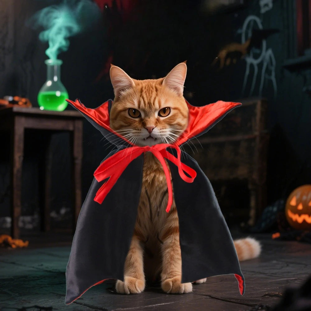 Funny Pet Dog Halloween Costume Dog Cat Costumes