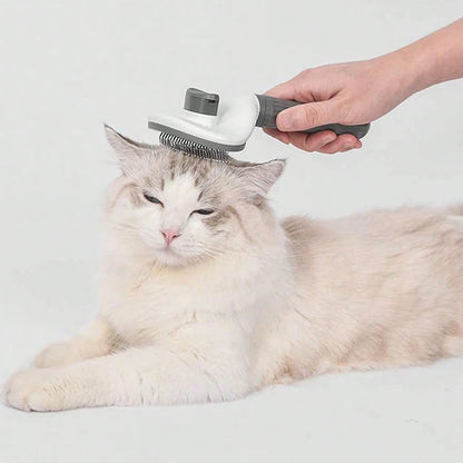 New pet for dog combing special comb