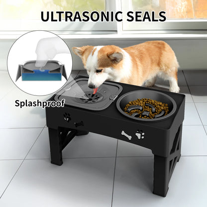 3 In 1 Pet Feeder Slow Feed Bowls Double Bowls